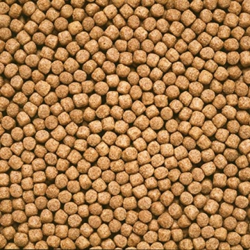 Hikari Wheatgerm Medium Pellet (Bag Size: 2Kg) - 2