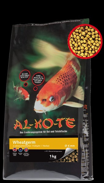 Koifutter Alkote Koifutter Wheatgerm (1 kg / Ø 3 mm) Futter für Frühjahr/Herbst kaufen