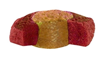 Sera 07009 KOI Professional Frühjahr-/Herbstfutter 7 kg - das leicht verdauliche Futter für Temperaturen unter 17 °C - 5