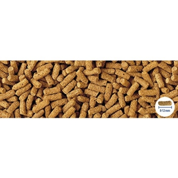 Tetra Pond Wheatgerm Sticks, 10 L - 5