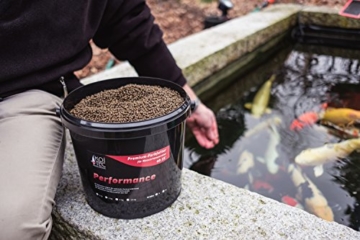 Koi-Futter Farbfutter Sommer, 6 mm, 4kg - tolle Farbverstärkung der Koi durch hochwertigste Spirulina-Algen, starkes Wachstum - auch als Fisch-Futter - 3