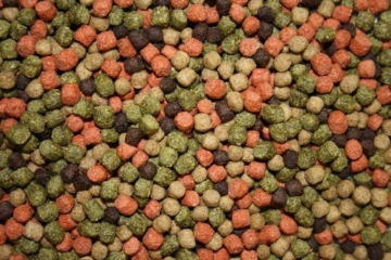 Koimix, Premium Koifuttermischung, 4 Color, Rot-Grün-Weiß-Braun, Teichfuttermix mit Spirulina, Astax, Paprika und Krillmehl, Tomodachi Sen-Sui Koifutter- und Teich-Mix, 15kg (5mm Pelletgröße) - 2