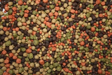 Koimix, Premium Koifuttermischung, 4 Color, Rot-Grün-Weiß-Braun, Teichfuttermix mit Spirulina, Astax, Paprika und Krillmehl, Tomodachi Sen-Sui Koifutter- und Teich-Mix, 15kg (5mm Pelletgröße) - 4