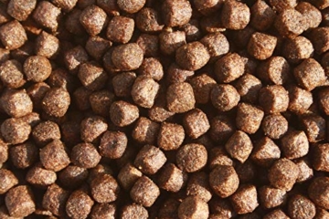 Tomodachi Frühjahrsfutter, Koifutter, Energiefutter Koi, Schwimmfutter mit Spirulina + Astax Farbschutz, arktischem Fischmehl und Fischöl, sehr energiereich, hochverdaulich auch bei Kälte, 6mm 2kg - 5