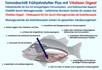 Frühjahrsfutter für Koi, Immunschutzfutter, Vital-Koifutter mit Monoglyceriden, unterstützen Futterverwertung, Verdauung, Stoffwechsel, Mega Wachstum, gut verdaulich, arktische Rohstoffe 5mm 5kg - 3