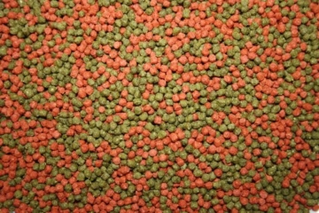 Koifuttermischung, Koifutter, Schwimmfutter, Premium Koimix 2 Color, 3 Color oder 4 Color; Teichfuttermix, Spirulina, Astax, Paprika, Krillmehl, Tomodachi SenSui KoifutterMix 15kg (4Color rot-grün-weiß-braun, 3mm Pelletgröße und 5mm Pelletgröße gemischt) - 5