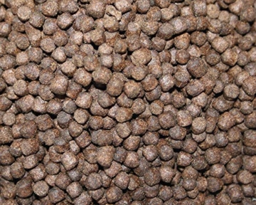 Tomodachi Frühjahrsfutter, Energiefutter Koi, langsam sinkendes Koifutter mit arktischem Fischmehl, Fischöl, Krillmehl, sehr energiereich, hochverdaulich auch bei Kälte, Frühjahrsfutter 5mm 3kg Eimer - 6