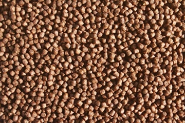 Tomodachi Koifutter, Energiefutter Koi, Schwimmfutter, Wachstumsfutter Koi, Premium Ganzjahres Koifutter, Profi Aufzuchtfutter für Koi, deutsches Qualitäts Koifutter, All Season Professional 3mm 5kg - 7