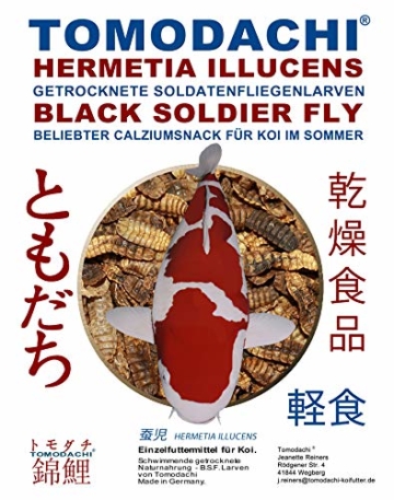 Tomodachi Koifutter, Black Soldier Fly Larven getrocknet, Hermetia Illucens, Soldatenfliegenlarven, Koilsnack, reich an Calzium und natürlicher Laurinsäure, ideal als Sommerfutter für Koi 3L Eimer - 7