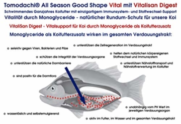 Tomodachi Koifutter, Vitalfutter für Koi mit Monoglyceriden für Koigesundheit, Immunschutz, Stoffwechsel, Verdauung, überdurchschnittliche Futterverwertung, All Season Vital Koischwimmfutter 6mm 5kg - 9