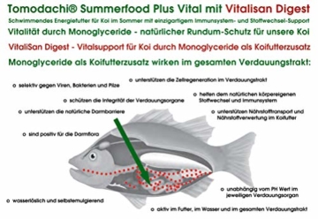 Koifutter, Sommerfutter, Schwimmfutter für Koigesundheit mit Monoglyceriden, Immunschutz und Farbschutz, Spirulina, Astax, Mega Wachstum, Vitalität, tolle Farben, arktische Rohstoffe 5mm 2kg - 8