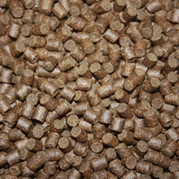 Störfutter, Energiefutter, Kraftfutter Stör, Premium Sinkfutter für Störe, Aufzuchtfutter für Störe, ideal für jede Jahreszeit, hochverdaulich, arktische Rohstoffe, Tomodachi Störsinkfutter 5mm 5kg - 3