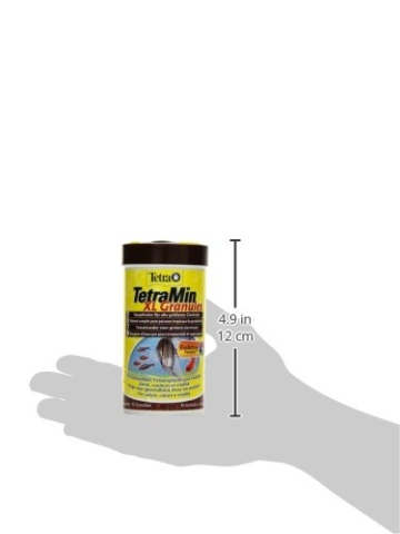 TetraMin XL Granules (Hauptfutter in Granulatform für alle größeren Zierfische wie Salmler und Barben, Plus Präbiotika für verbesserte Futterverwertung), 250 ml Dose - 6