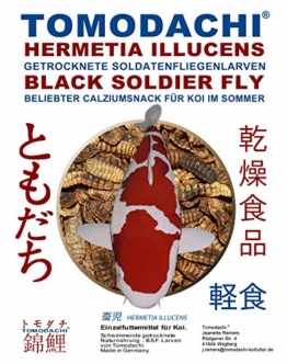 Tomodachi Koifutter, Black Soldier Fly Larven getrocknet, Hermetia Illucens, Soldatenfliegenlarven, Koilsnack, reich an Calzium und natürlicher Laurinsäure, ideal als Sommerfutter für Koi 1L Beutel - 1