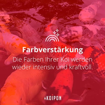 KOIPON Koi-Futter Regular für Frühling Sommer Spätsommer, 3mm, 1,75 kg - Hochwertiges Schwimmfutter für Starkes Wachstum, Farbverstärkung & gesunde Fische - auch für Goldfische - 9