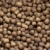 KOIPON Pon-Pellets Ganzjahresfutter 3 mm schwimmend in 1,75 kg - hochwertiges Futter für ganzjährige Fütterung zur Entlastung der Kiemen für alle Teichfische Zierfische wie Koi Karpfen Stör - 2