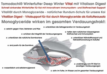 Winterfutter Koi, Gesundheitsfutter Koi, schnell sinkend mit VitaliSan Monoglyceriden, unterstützt Futterverwertung, Verdauung, Stoffwechsel, Immunsystem, hochverdaulich, arktische Rohstoffe 5mm 1kg - 8