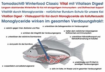 Winterfutter Koi, Gesundheitsfutter für Koi, Sinkfutter mit VitaliSan Monoglyceriden, unterstützt Futterverwertung, Verdauung, Stoffwechsel, Immunsystem, hochverdaulich, arktische Rohstoffe 5mm 1kg - 8