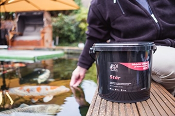 Störfutter sinkend mit 5-6mm Pelletgröße in 6kg Eimer – für optimales Wachstum frisch in Deutschland für KOITEC produziert – Futter für Störe, Fische & Koi - 3