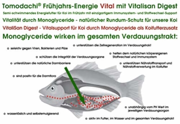 Koifutter, Frühjahrsfutter, antibakterielles Gesundheitsfutter für Koi, hoch-energiereich, proteinarm mit VitaliSan Digest Monoglyceriden, semisinkend, hochverdaulich, arktische Rohstoffe 5mm 15kg - 3