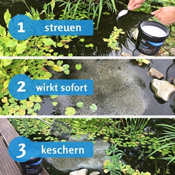 KOIPON Oxalit Teichschlammentferner 1 kg zur Teich Reinigung von Laub, Teich Schlamm und Ablagerungen wirkt innerhalb weniger Minuten - 4