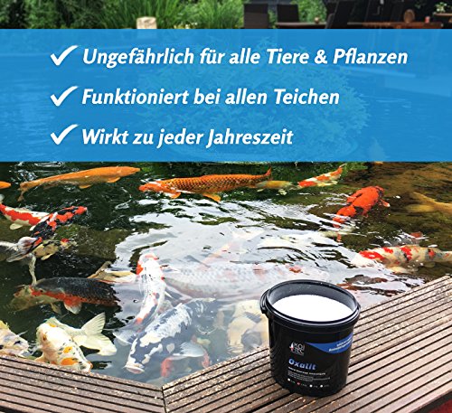 KOIPON Oxalit Teichschlammentferner 1 kg zur Teich Reinigung von Laub