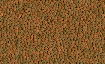 Tetra Wafer Mix - Fischfutter für alle Bodenfische (z.B. Welse) und Krebse, für gesundes Wachstum und eine bessere Widerstandskraft, 1 L - 2